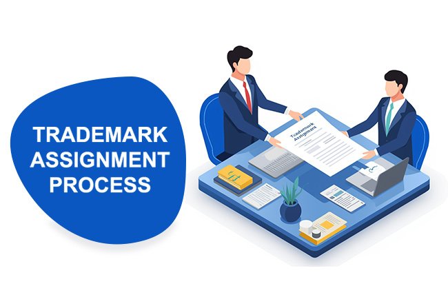 Trademark Assignment Process